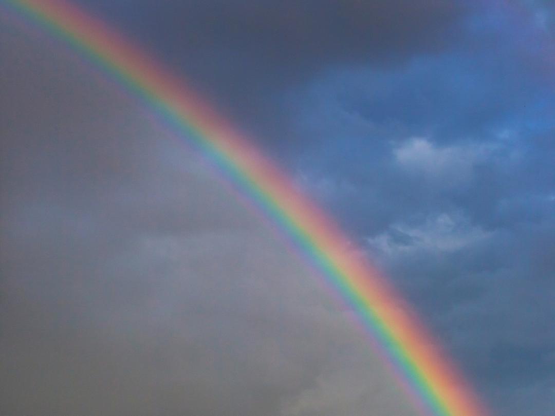 Regenboog