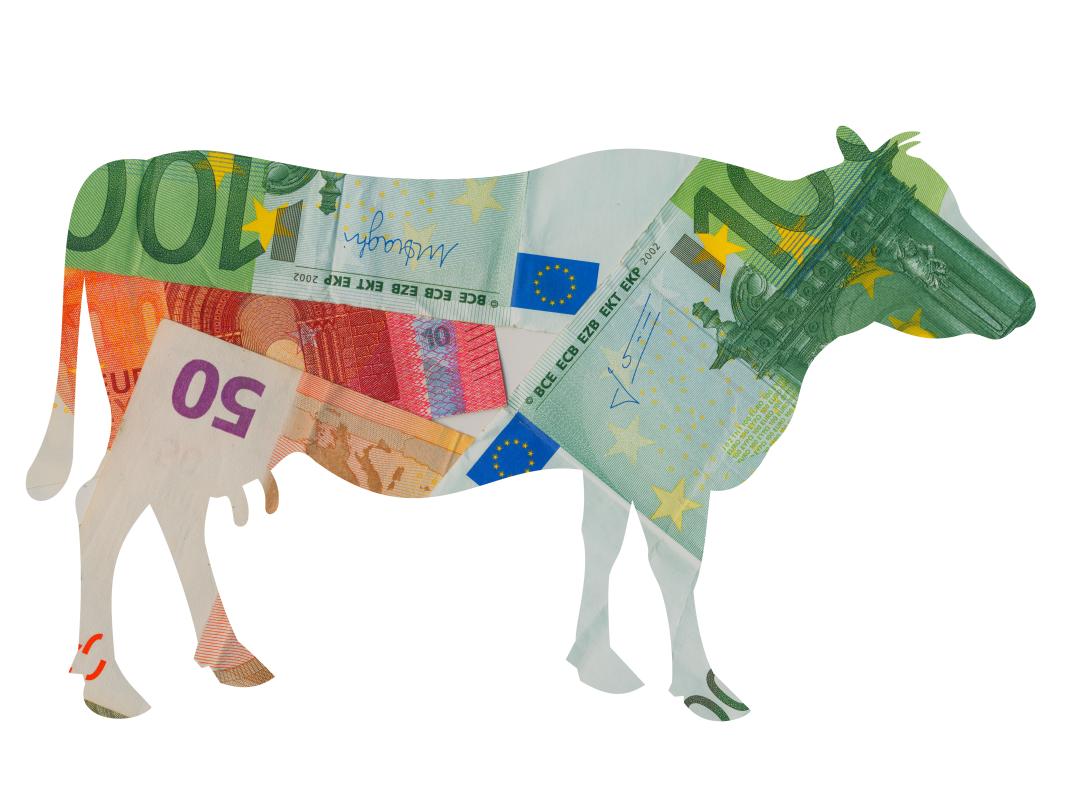 Illustratie van koe met print van geld