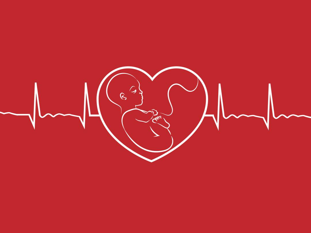Illustratie van een hartslag in de vorm van hart met baby erin