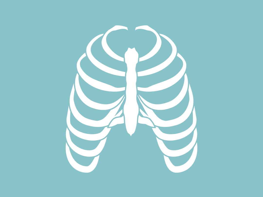 Illustratie van een ribbenkast