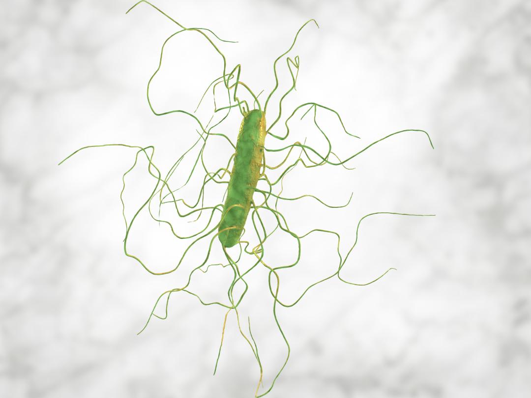Illustratie van een microbe
