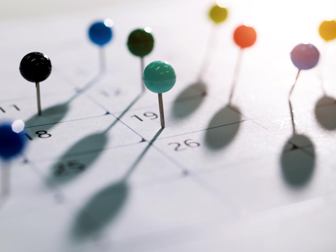 Spelden die in een agenda geprikt zitten