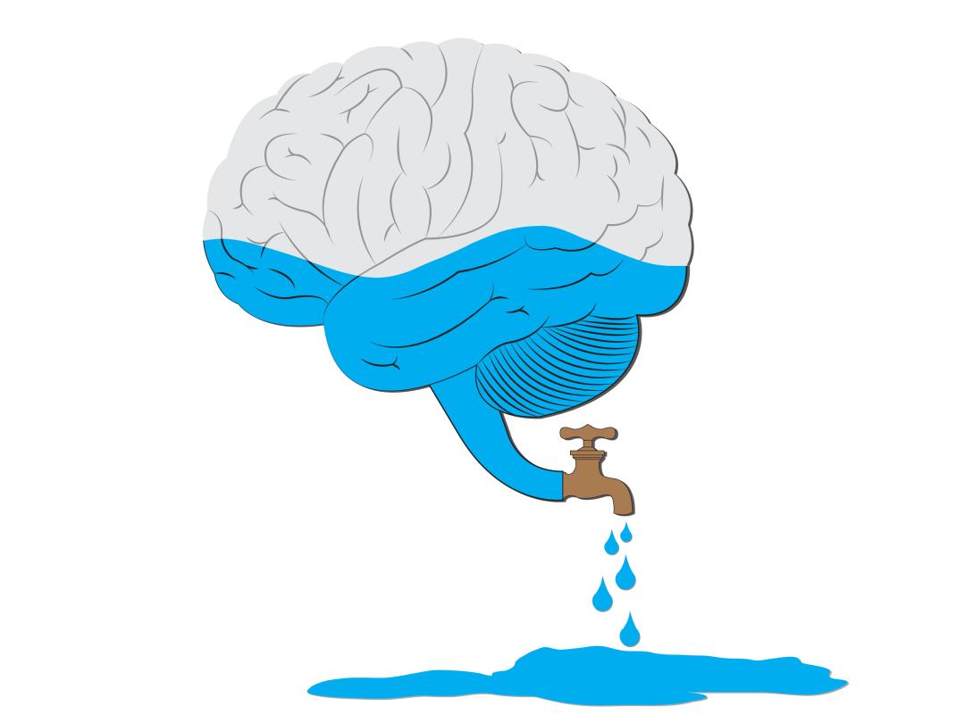 Een illustratie van hersenen waar water via een kraantje uitloopt