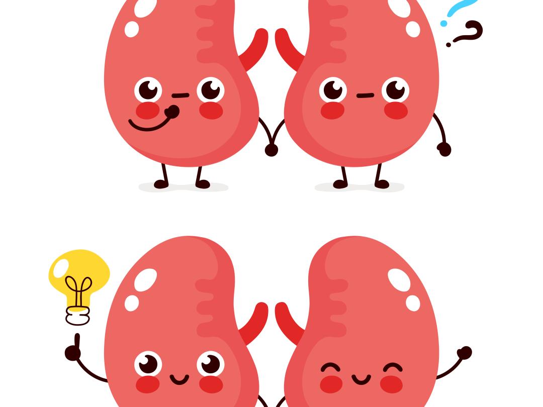 Foto: svtdesign/shutterstock