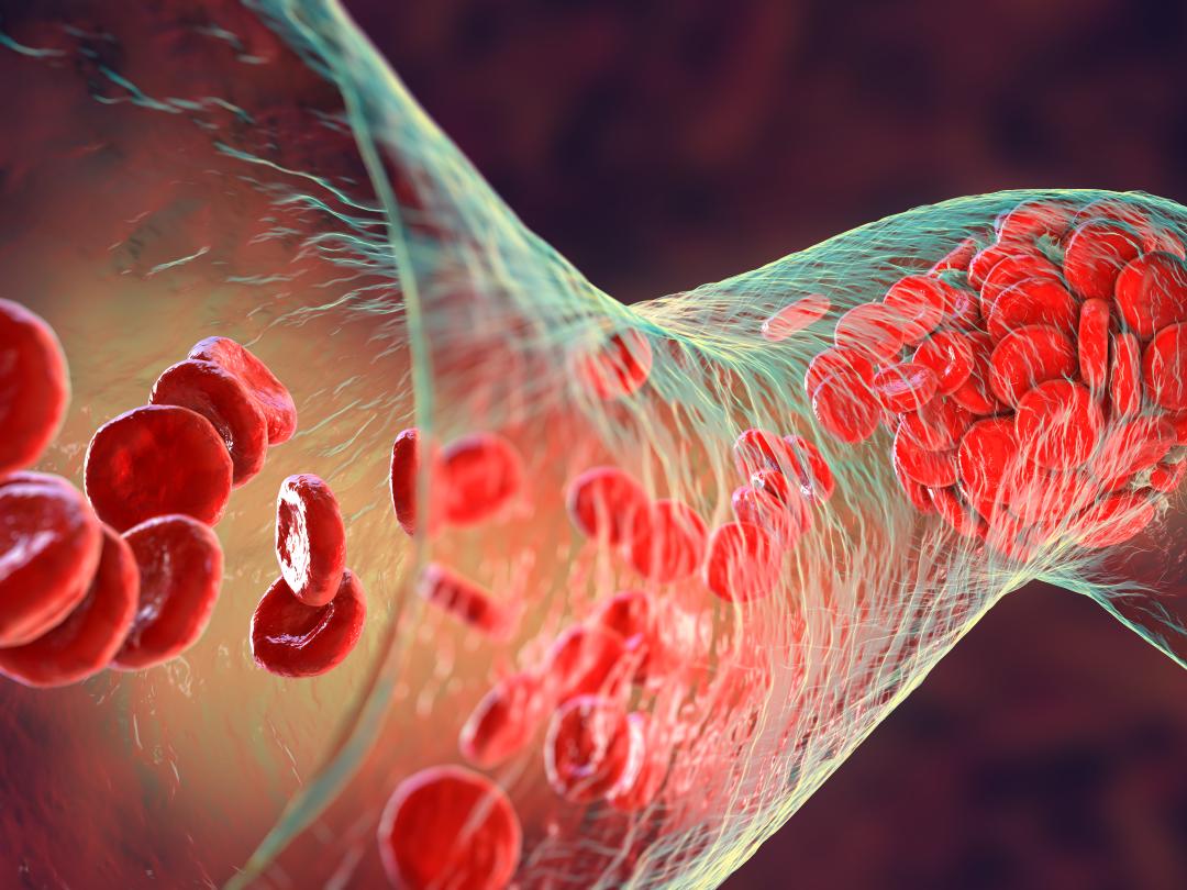 Illustratie van een ader met bloedcellen erin 