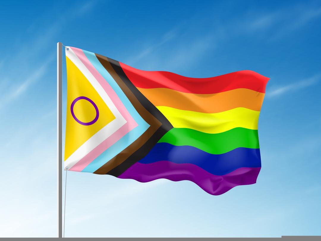 Intersex Inclusive Pride-vlag