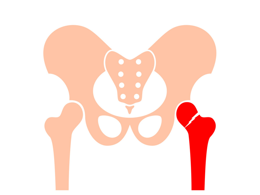 Illustratie van het bekken