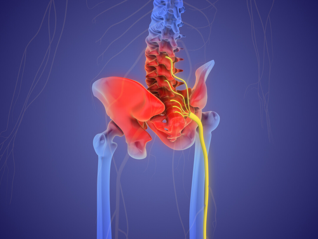Illustratie van het sacro-illiacale gedeelte van de rug