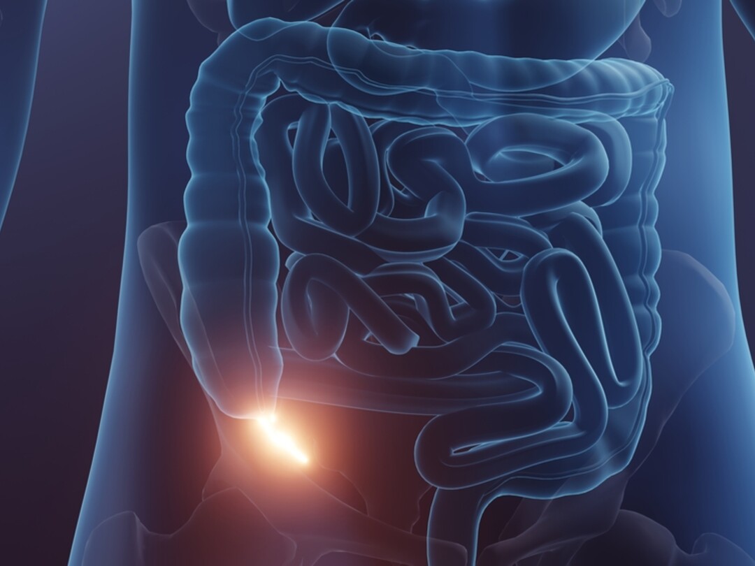 Illustratie van de darmen