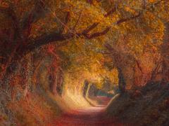 Een bospad met overhangende bomen in herfstkleuren.