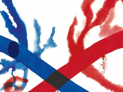 Cover van het proefschrift "Finding a new balance: from vitamin K antagonist to direct oral anticoagulants".