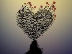 Illustratie van een rozenstruik in de vorm van een hart.