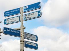 Een paal met richtingsborden in het verkeer. Op de borden staan woorden zoals 'persoonlijkheidsstoornis' en 'hallucinatie'. Ze wijzen verschillende kanten op.