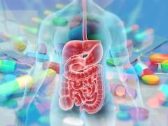 Een doorzichtig lichaam waarin de ingewanden zichtbaar zijn. Op de achtergrond liggen verschillende pillen.