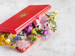 Een EHBO-doos gevuld met bloemen.