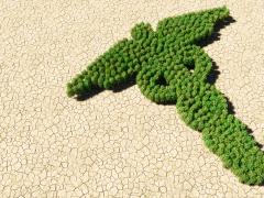 Groene bomen in de vorm van een esculaap. Het symbool steekt af tegen een uitgedroogd stuk grond.