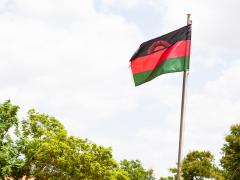 Een wapperende vlag van Malawi.
