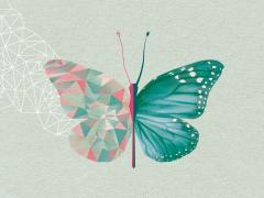 Illustratie van een vlinder.