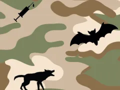 Silhouetten van een injectienaald, een vleermuis en een blaffende hond tegen een achtergrond van camouflagekleuren.