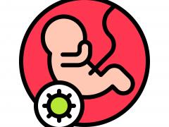 Tekening van baby in de baarmoeder met COVID symbool