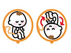 2 tekeningen van baby in baarmoeder; een met hoofd naar boven, een met hoofd naar beneden