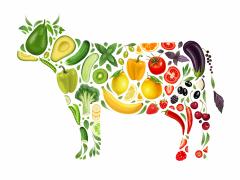 Illustratie van een koe opgebouwd uit groente en fruit