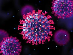Microscopisch beeld van Covid virus
