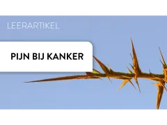 Een tak met stekels