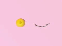 Illustratie van een halve citroen en een takje