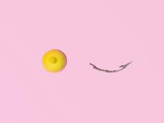 Illustratie van een halve citroen en een takje