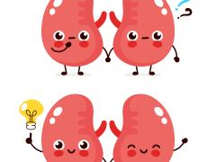 Foto: svtdesign/shutterstock