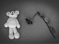 Foto van beer net geknakte bloem erbij