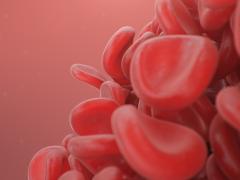 Illustratie van bloedcellen