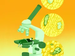 Microscoop