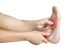 Voet waarin de pezen zichtbaar zijn