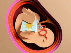 Illustratie van baby in de baarmoeder