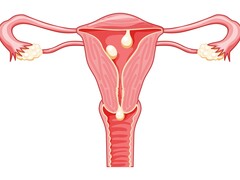 Vrouwelijk geslachtsorgaan