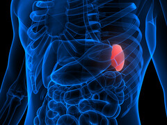 Illustratie waarbij een orgaan oplicht