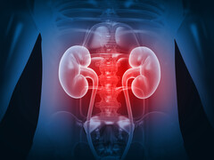 Illustratie van nieren en de wervelkolom