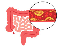 Illustratie van darmen