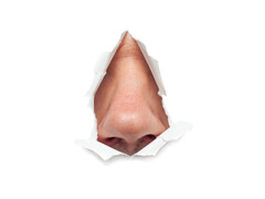 Illustratie van een neus 