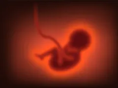 Illustratie van een baby in de baarmoeder