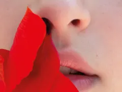 Illustratie van een neus met een rode doek die eruit komt