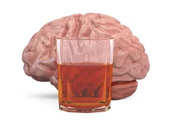 Illustratie van hersenen et een glas drank ervoor