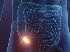 Illustratie van de darmen