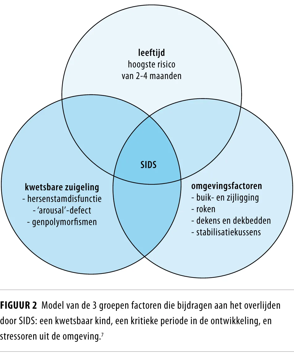 Figuur 2