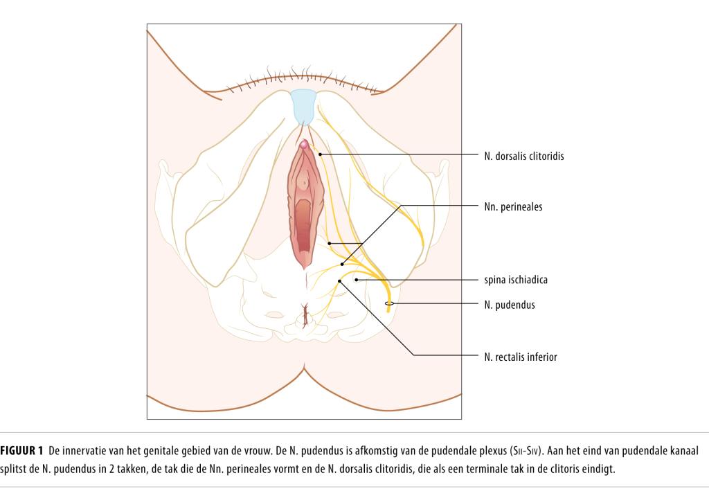 Jinsiy aloqa gozal qizi uxlab yotgan
