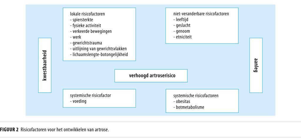 Figuur 2 | Risicofactoren voor het ontwikkelen van artrose