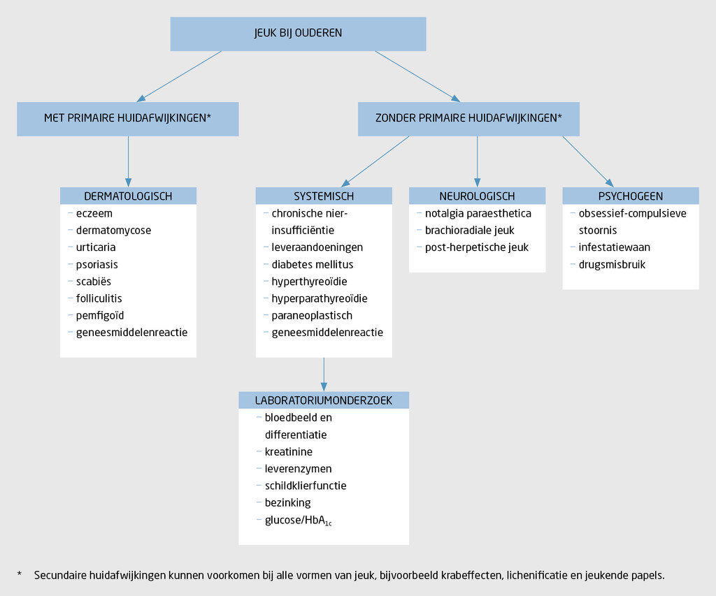 Figuur 2 | Hoe analyseer je jeuk bij ouderen? | Diagnostisch algoritme voor de mogelijke oorzaken