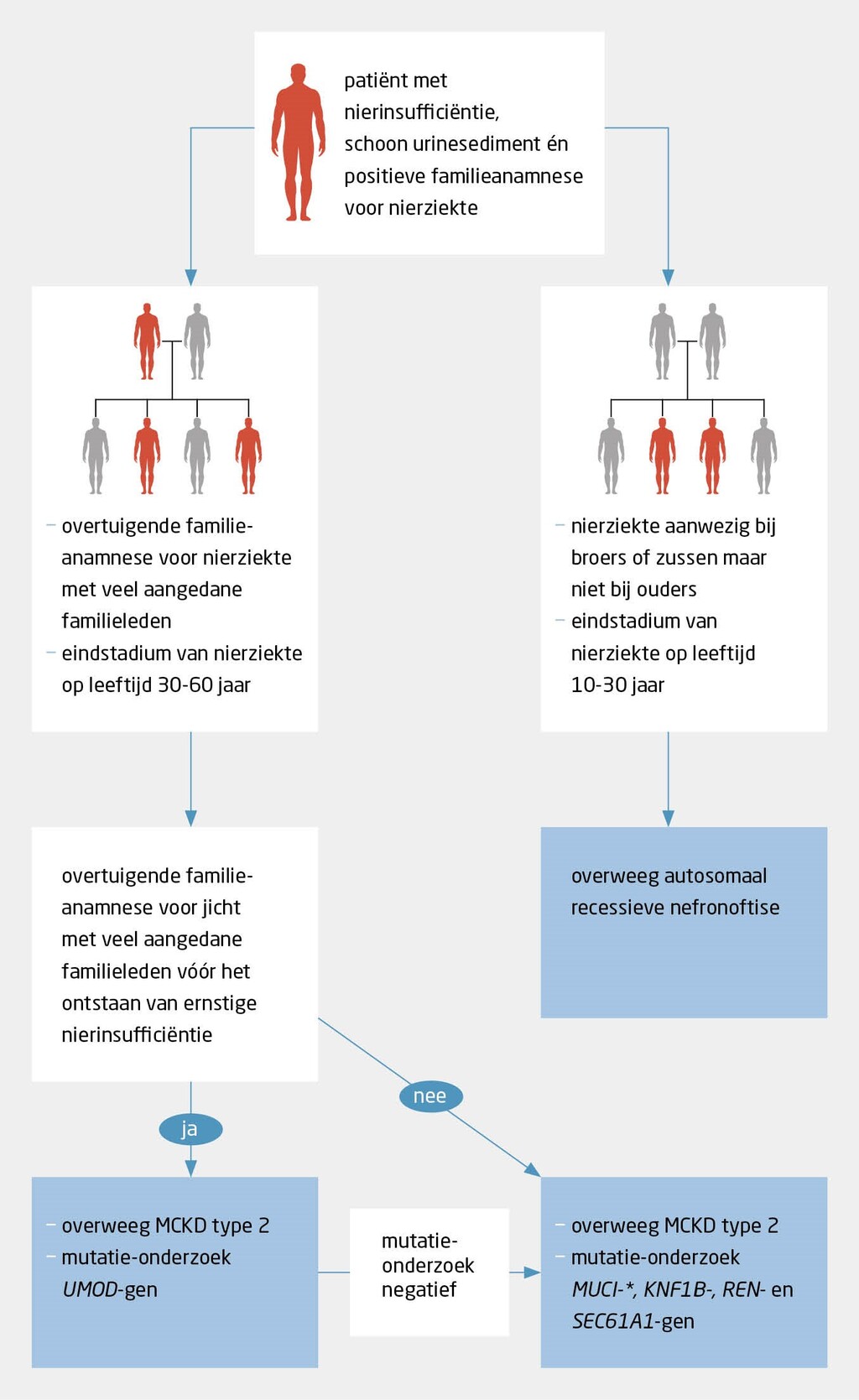 Figuur 4 | Wat te doen bij verdenking erfelijke tubulo-interstitiële nierziekte? | Algoritme voor snellere herkenning van patiënten met aanwijzingen voor een erfelijke tubulo-interstitiële nierziekte